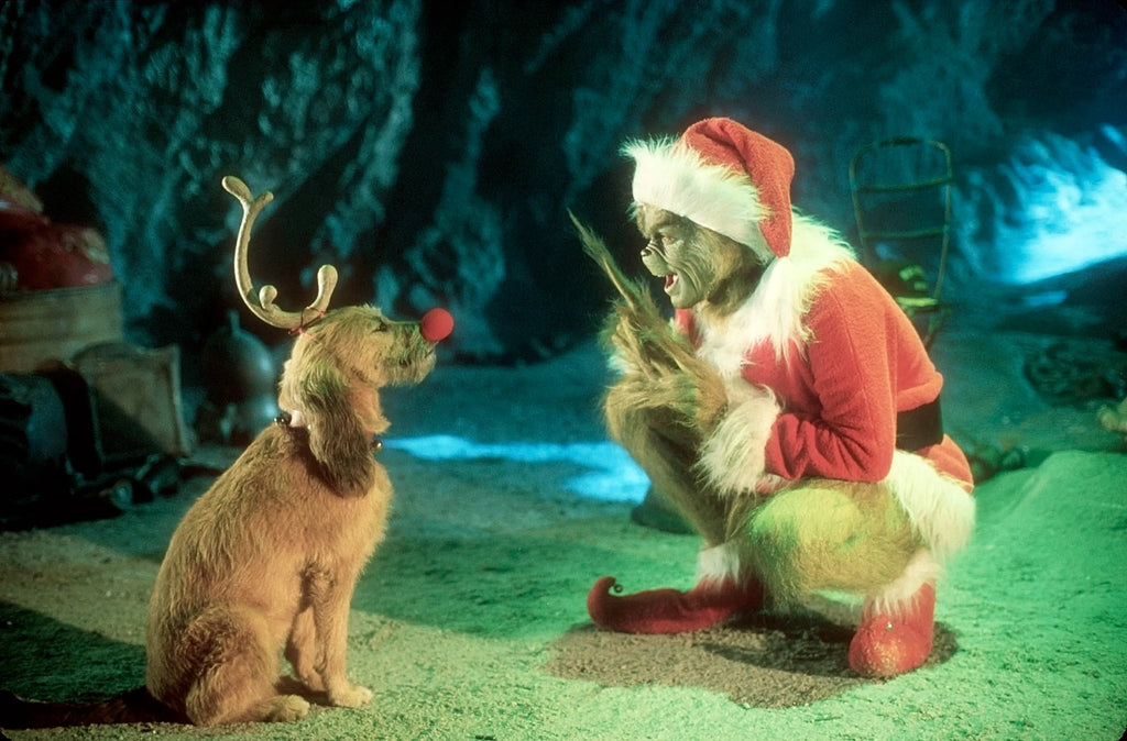 12 Days of Christmas Movies (that adults might enjoy too…)